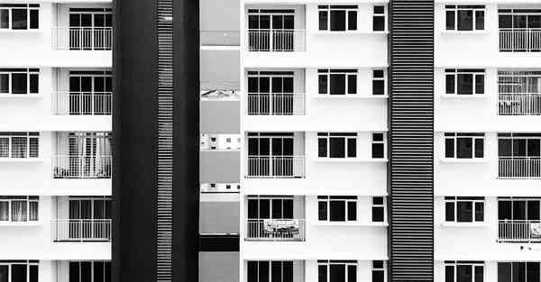 佛跳墙v